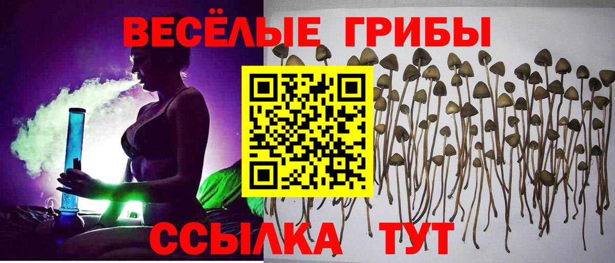 Улан-Удэ  Псилоцибиновые грибы MAGIC MUSHROOMS  Псилоцибиновые грибы Psilocybine cubensis  Вход с VPN 